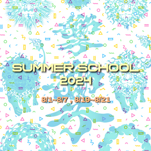 SUMMER SCHOOL 2024